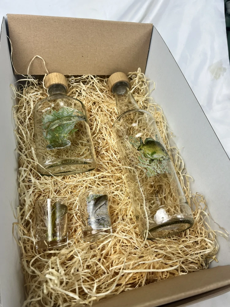 Dárková krabice Ryby 2