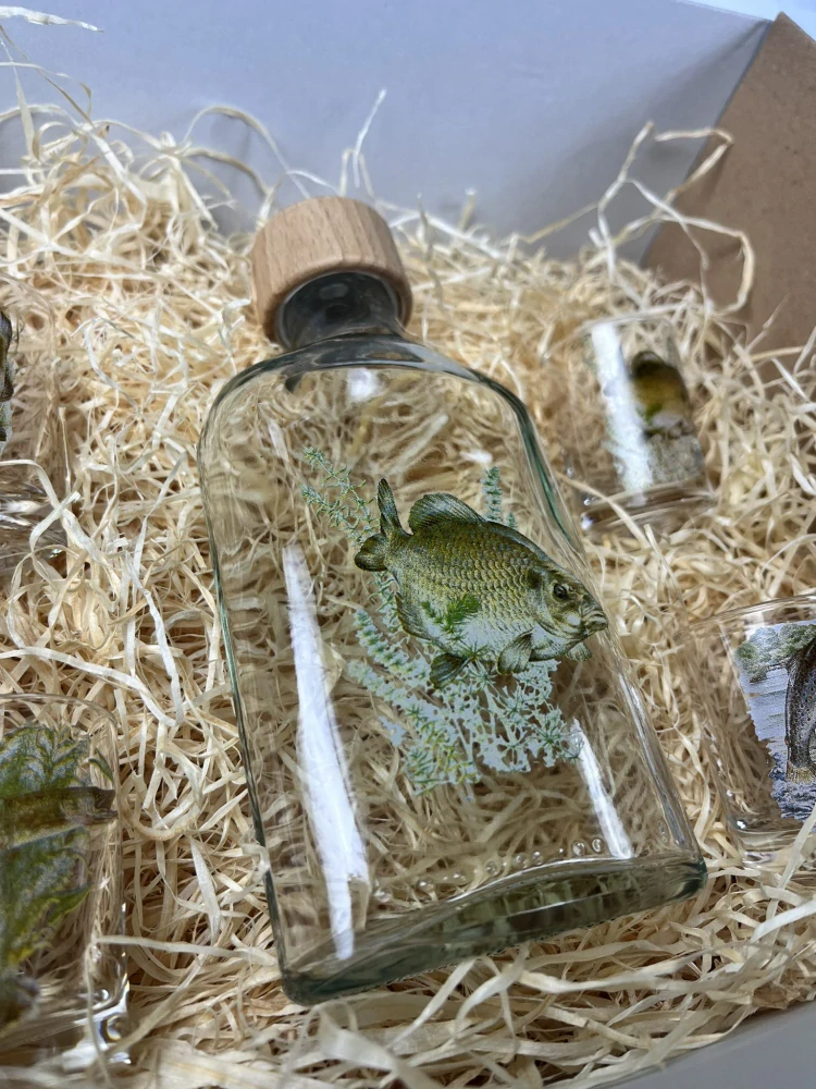 Dárková krabice Ryby 3