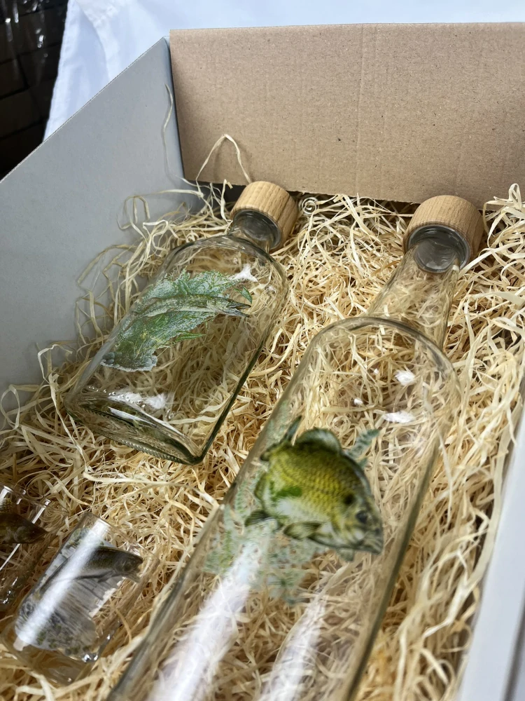 Dárková krabice Ryby 2