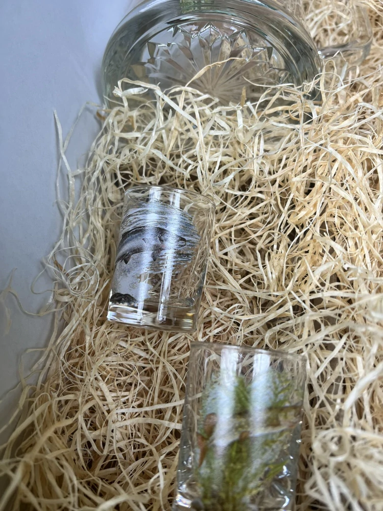 Dárková krabice Ryby 4