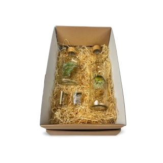 Dárková krabice Ryby 2