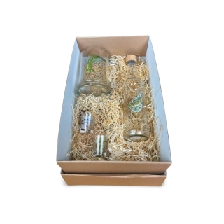 Dárková krabice Ryby 4